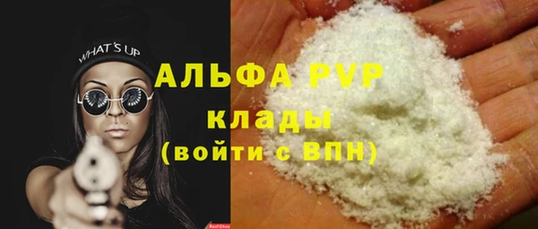 шишки Тавда