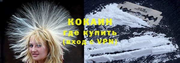 шишки Тавда
