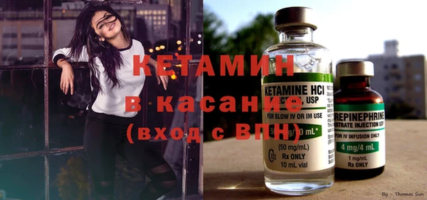 шишки Тавда