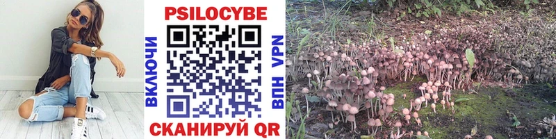 Галлюциногенные грибы Cubensis Очёр